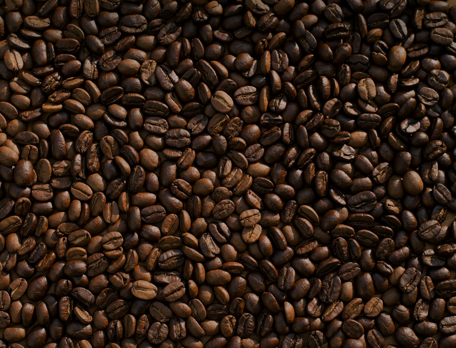 Roasted coffee beans